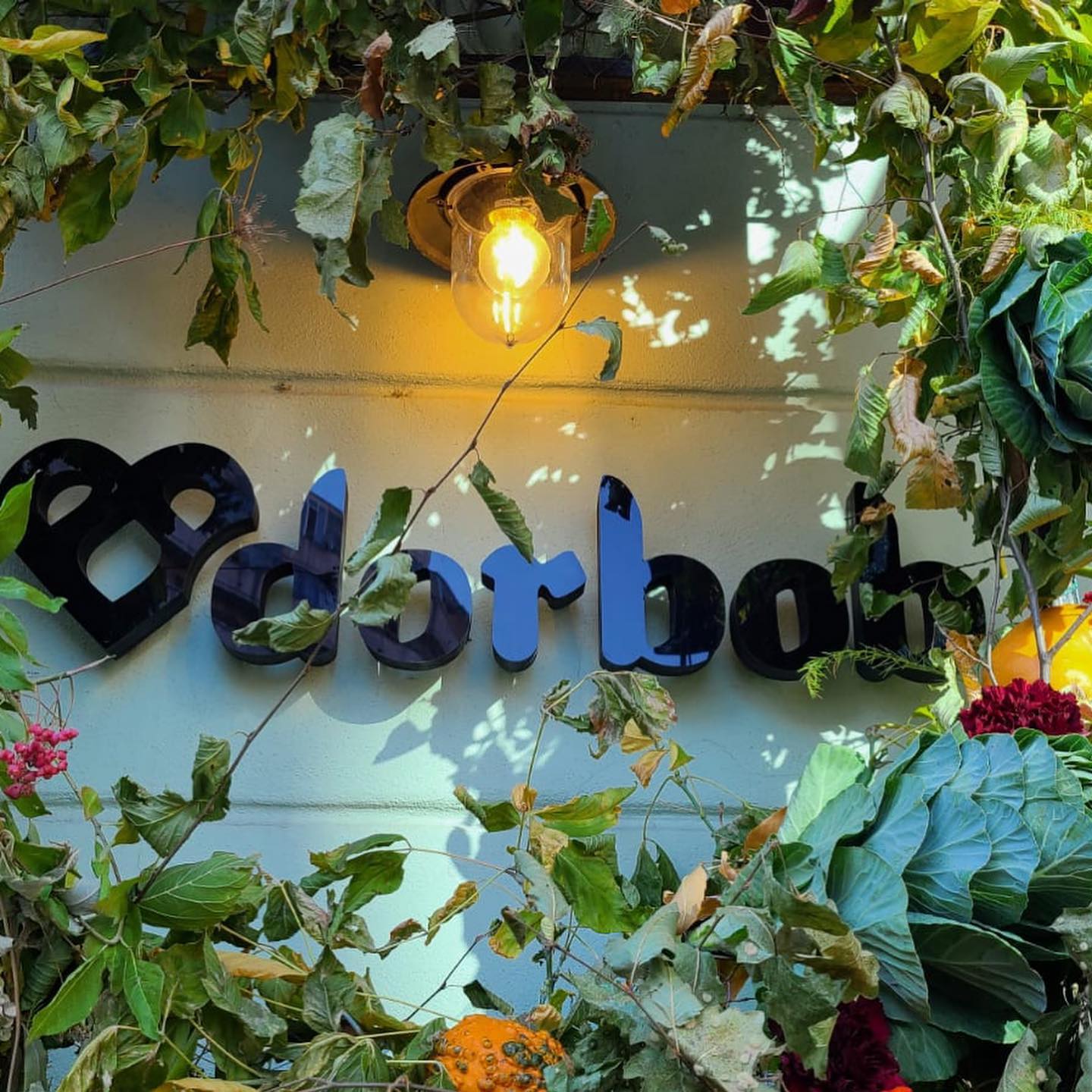 473169086_2297543713947862_5902346078247559051_n