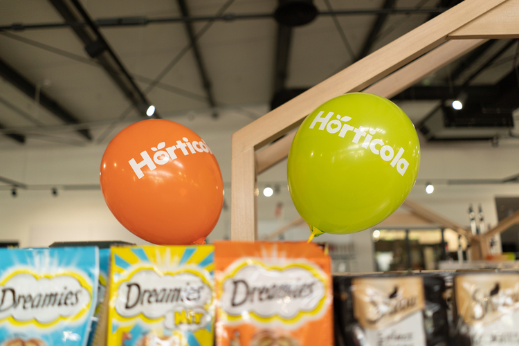 Deschidere Magazin madaras-31 (1)