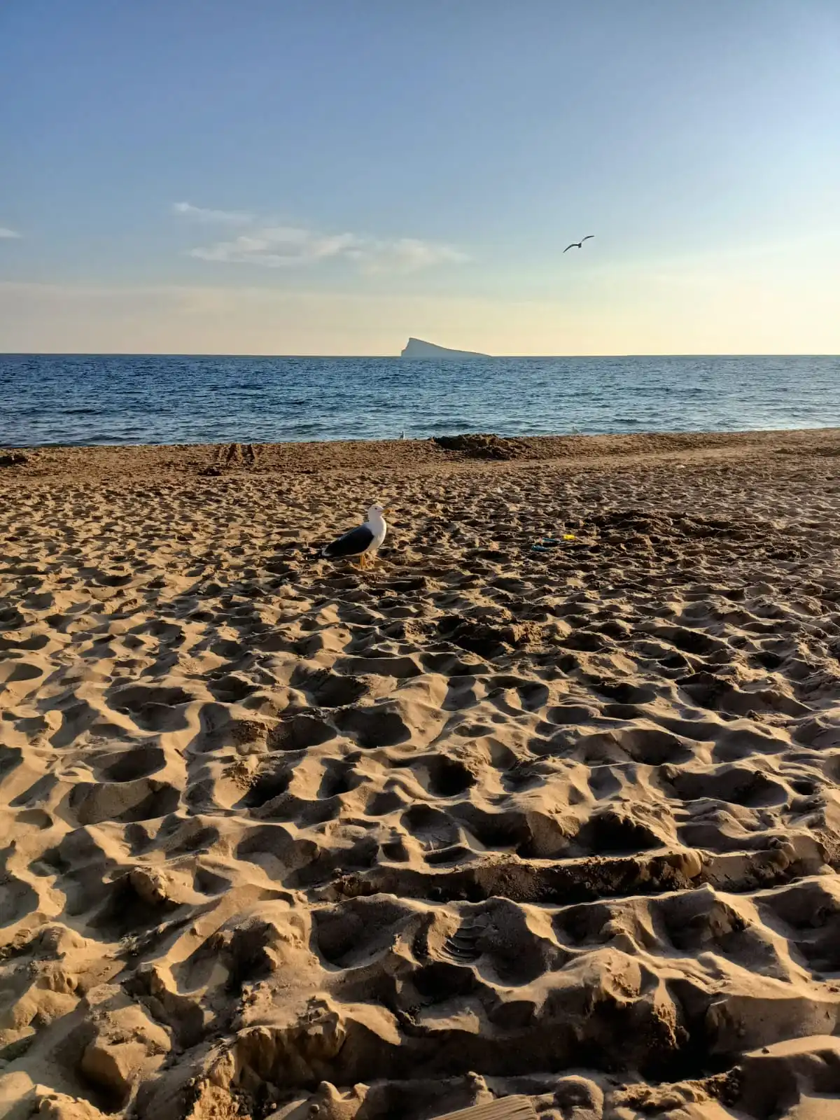 What Fuels My Creativity