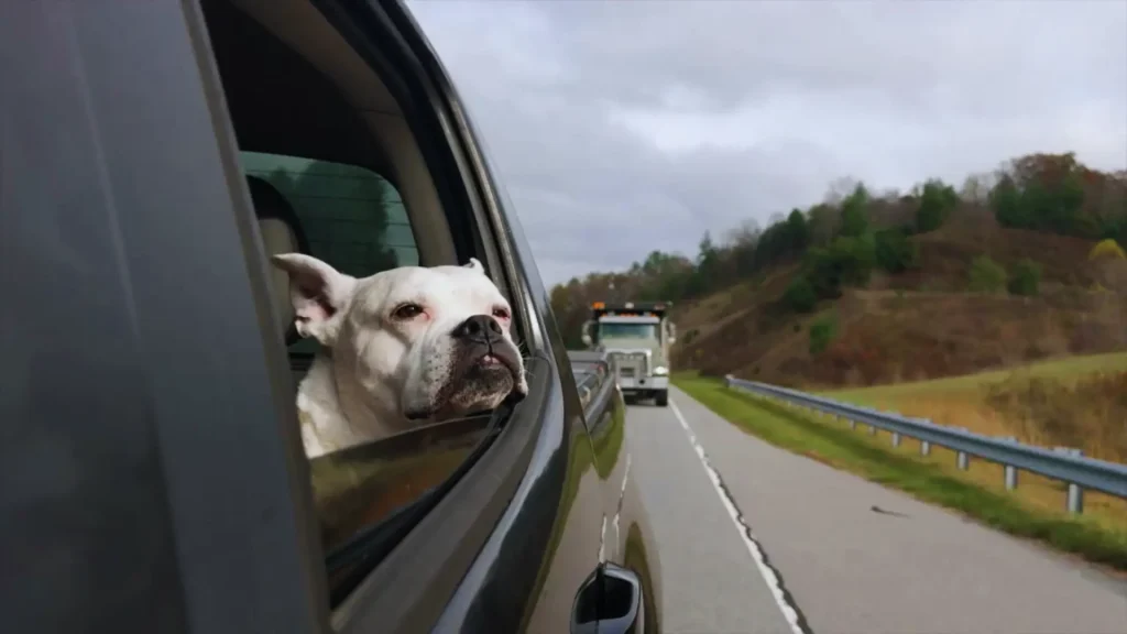 Videography projects