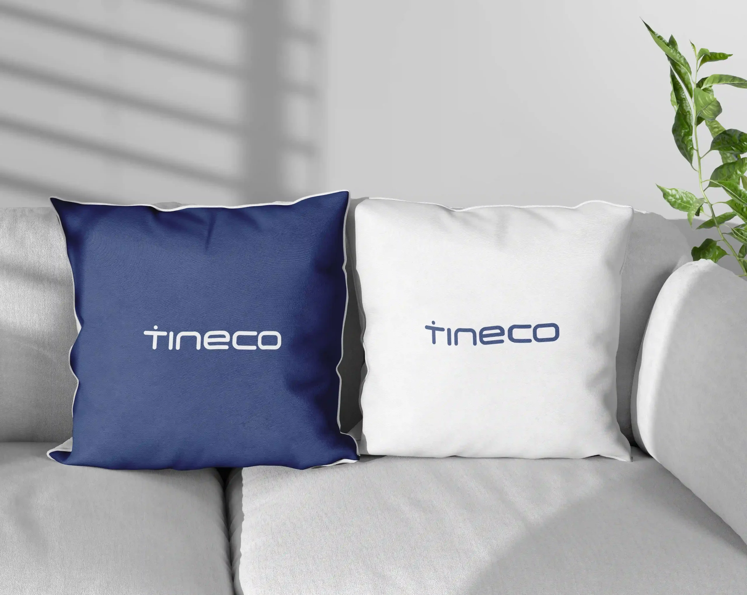 Free Two Pillows Mockup-Tineco